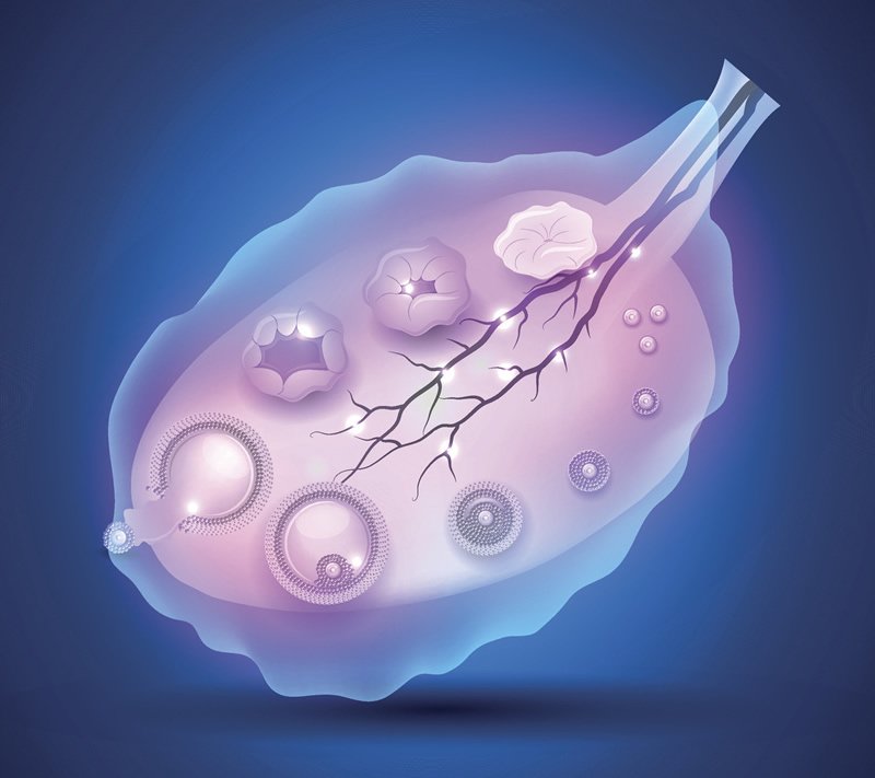 呼和浩特试管婴儿医院前三强实力解析：附2026年试管费用明细与成功经验分享